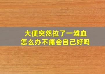 大便突然拉了一滩血怎么办不痛会自己好吗