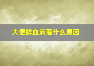 大便鲜血滴落什么原因