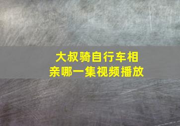 大叔骑自行车相亲哪一集视频播放