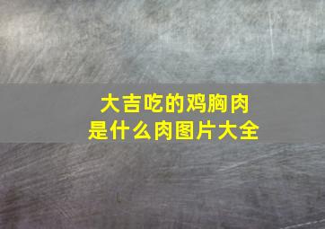 大吉吃的鸡胸肉是什么肉图片大全