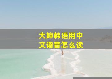 大婶韩语用中文谐音怎么读