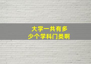 大学一共有多少个学科门类啊