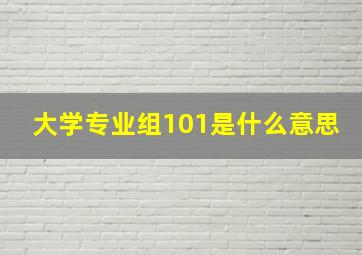 大学专业组101是什么意思