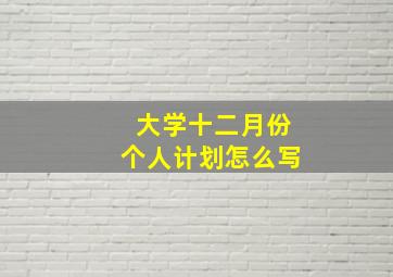 大学十二月份个人计划怎么写