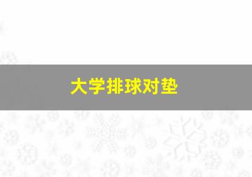 大学排球对垫