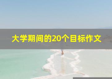 大学期间的20个目标作文