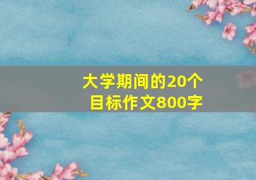 大学期间的20个目标作文800字