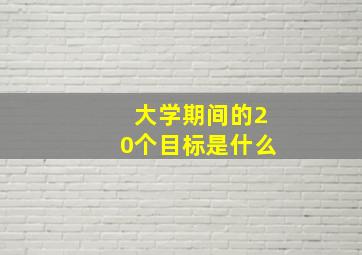 大学期间的20个目标是什么