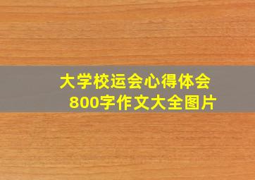 大学校运会心得体会800字作文大全图片