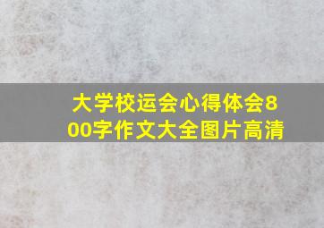 大学校运会心得体会800字作文大全图片高清