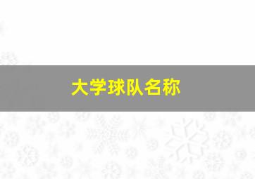 大学球队名称