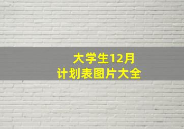 大学生12月计划表图片大全