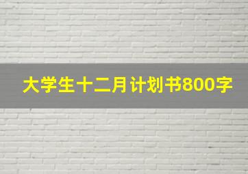 大学生十二月计划书800字