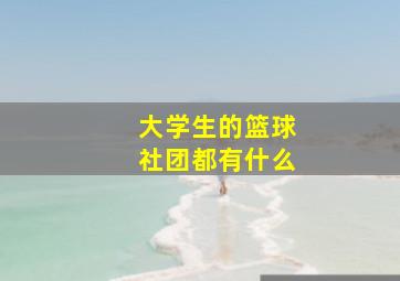 大学生的篮球社团都有什么