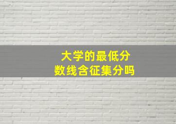 大学的最低分数线含征集分吗