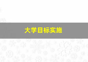 大学目标实施