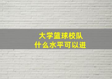 大学篮球校队什么水平可以进