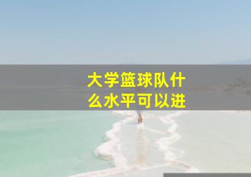 大学篮球队什么水平可以进