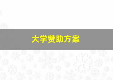 大学赞助方案