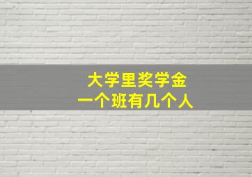 大学里奖学金一个班有几个人