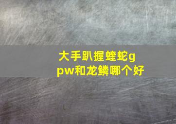 大手趴握蝰蛇gpw和龙鳞哪个好