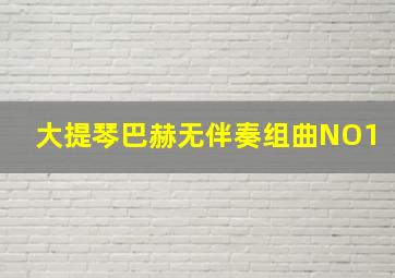 大提琴巴赫无伴奏组曲NO1