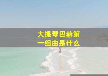 大提琴巴赫第一组曲是什么