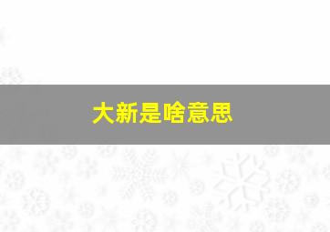 大新是啥意思