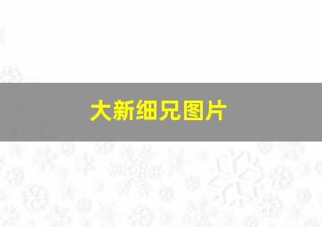 大新细兄图片