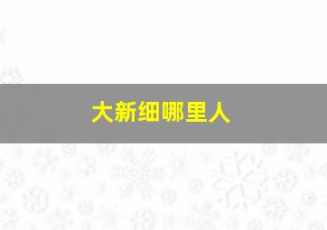 大新细哪里人