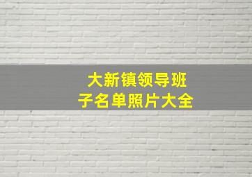 大新镇领导班子名单照片大全