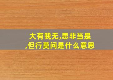 大有我无,思非当是,但行莫问是什么意思