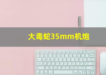 大毒蛇35mm机炮