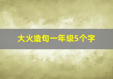 大火造句一年级5个字