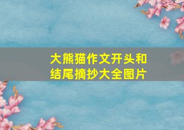 大熊猫作文开头和结尾摘抄大全图片