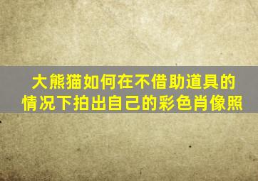 大熊猫如何在不借助道具的情况下拍出自己的彩色肖像照