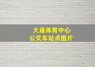 大连体育中心公交车站点图片