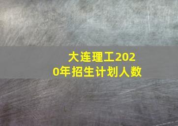 大连理工2020年招生计划人数