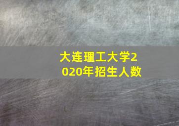 大连理工大学2020年招生人数