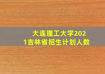 大连理工大学2021吉林省招生计划人数