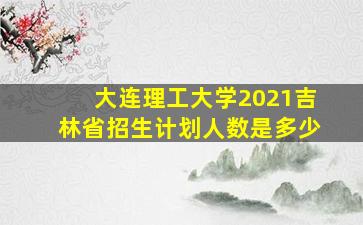 大连理工大学2021吉林省招生计划人数是多少