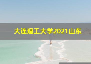 大连理工大学2021山东