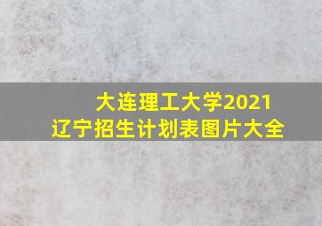 大连理工大学2021辽宁招生计划表图片大全