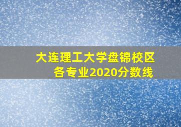 大连理工大学盘锦校区各专业2020分数线