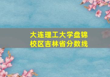 大连理工大学盘锦校区吉林省分数线