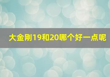 大金刚19和20哪个好一点呢