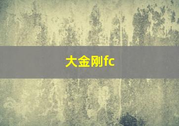 大金刚fc