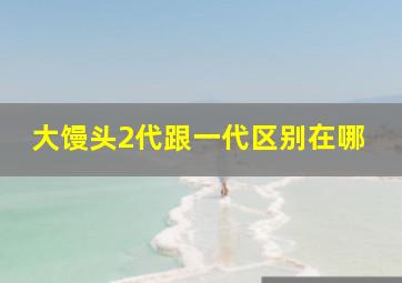 大馒头2代跟一代区别在哪