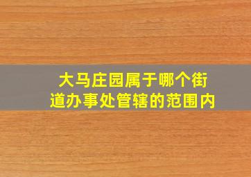 大马庄园属于哪个街道办事处管辖的范围内