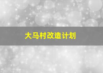 大马村改造计划